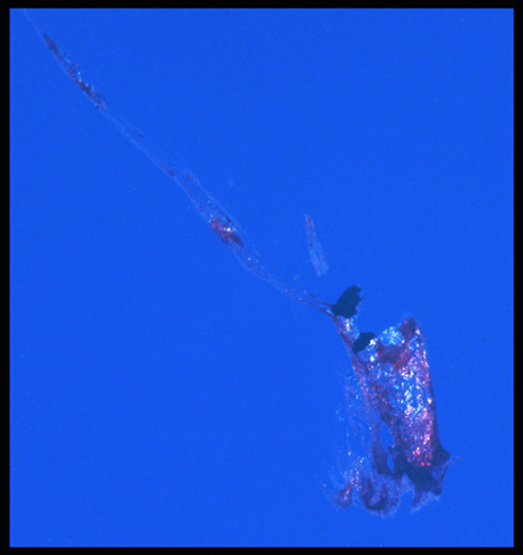 sudden_death_12